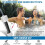 The Salt Cell Replacement for Ace System, Salt Cell Replacement 76078 Worked, Longer  Between Spa Water Changes,1Set 8