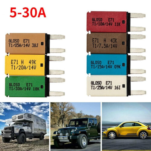 Essential Safety Device 12V Auto Reset Mini Circuit Breaker Blade Fuse (10A) 2