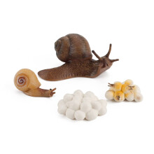 Snail Life Cycle Stages Simulation Animal Model Educational Toy for Kids, Mini Growth, Animal, Learning, Accessories, Toy Set