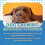 (4pcs) 2025 Dog Calming Pheromone Diffuser Refill Relieve Anxiety Stress Barking Chewing_yg1 3