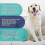 (4pcs) 2025 Dog Calming Pheromone Diffuser Refill Relieve Anxiety Stress Barking Chewing_yg1 5