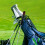 Alignment Stick Headcover    Leather Golf Alignment Stick Cover  Holds 2 Sticks 4