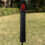 Alignment Stick Headcover    Leather Golf Alignment Stick Cover  Holds 2 Sticks 5