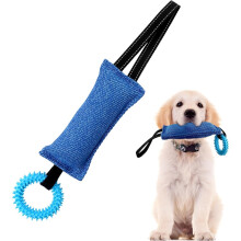 Indestructible Chew Rope Dog Toy – Interactive Tug & Chew Toy (Blue)