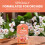 Vitax Vitax Orchid Bloom Feed Liquid Fertiliser 500ml 2