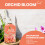 Vitax Vitax Orchid Bloom Feed Liquid Fertiliser 500ml 8
