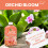 Vitax Vitax Orchid Bloom Feed Liquid Fertiliser 500ml 9