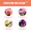Vitax Vitax Orchid Bloom Feed Liquid Fertiliser 500ml 10