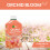 Vitax Vitax Orchid Bloom Feed Liquid Fertiliser 500ml 13