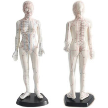 Acupuncture model, 48 cm female doll with detailed meridians pressure points, PVC training model.