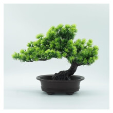 Artificial Flowers, Bonsai Plants, Artificial Bonsai Tree, Artificial Plants, China Bonsai Decoration
