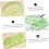 11Piece Geometric Drawing Template Set Transparent Plastic Ruler 3