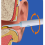 Ear cleaner WiFi Visual with high-resolution camera gyroscope 2
