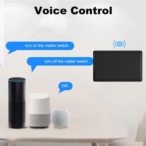 Matter WiFi Tuya  Push Button  1-2 Gang for Homekit Control Work and Alexa  Home B 2
