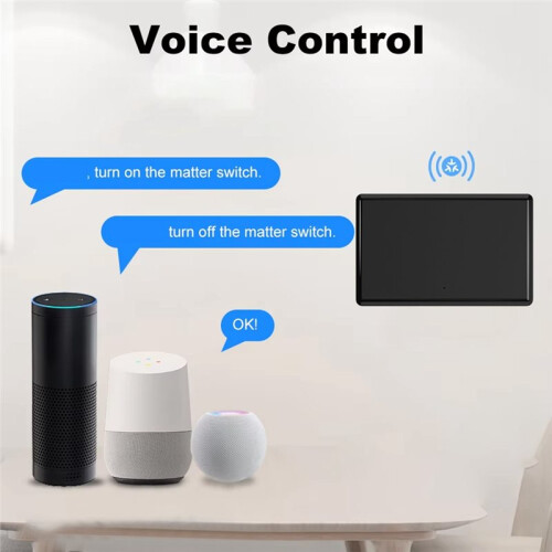 Matter WiFi Tuya  Push Button  1-2 Gang for Homekit Control Work and Alexa  Home A 1