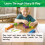 The Very Hungry Caterpillar My First Construction Cubes 4