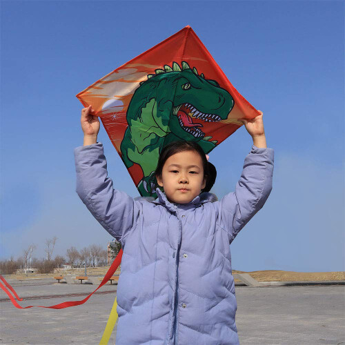 HONBO Diamond Kite for Kids Easy to Fly 1