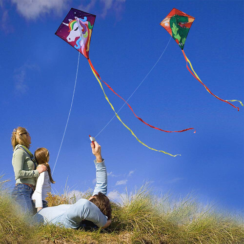 HONBO Diamond Kite for Kids Easy to Fly 2