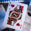BTkviseQat theory11 Star Wars Light Side Playing Cards 5