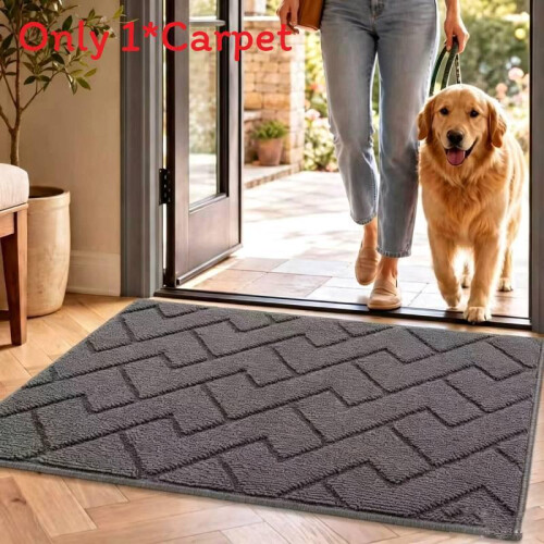 (Gray)Plüsch Einstiegsmatte einfarbig Teppich mit waschbarem Design für Haus und Wohnräume