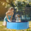 Foldable Dog Pool – Non-Slip Backyard Splash Pool for Small Dogs (Blue) 3