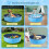 Foldable Dog Pool – Non-Slip Backyard Splash Pool for Small Dogs (Blue) 7