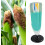Plant root anatomy model – PVC root profile teaching aid for biology education 2