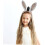 Donkey Costume Headband with Ears and Tail 5