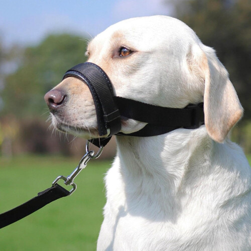Soft Muzzle, Adjustable No Barking Muzzle, Dog Mouth Guard, Large Dog Muzzle 1