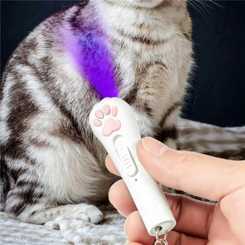 Rechargeable Cat Pointer Toy – USB Red Dot LED Interactive Vision Toy 2