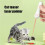 Rechargeable Cat Pointer Toy – USB Red Dot LED Interactive Vision Toy 6