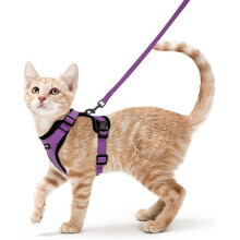 Anti-Escape Cat Harness – Breathable Reflective Vest with Leash (S)