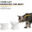 Ceramic Elevated Pet Bowl – Slanted Angled Bowl for Easy Eating (White) 2