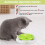 Automatic Interactive Cat Toy – Smart Electric Feather Toy 3