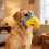 Anti-Biting Dog Muzzle – Adjustable TPR Parrot Shape (Blue/Yellow) 5