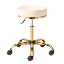 360 Adjustable Swivel Chair With Gold-Plated Five-Star Base, White Salon Stool
