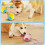 360 Automatic Rolling Cat & Dog Ball – Interactive Motion Toy, Pink 2