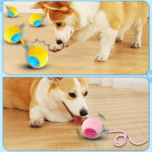 360 Automatic Rolling Cat & Dog Ball – Interactive Motion Toy, Pink 1