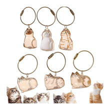 Pet Hair Keepsake Pendant – 6-Pack Transparent Capsule with Cat Hair Storage