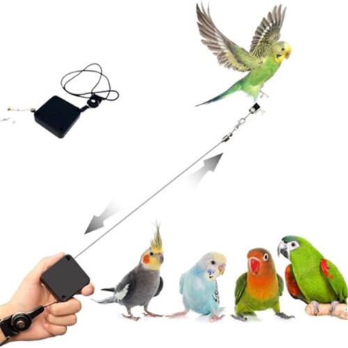 Extendable Bird Rope – 5m Auto-Retractable Parrot Fly Line with Bite-Resistant Wire