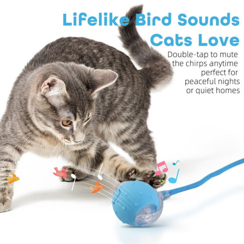 2-Piece Interactive Cat Ball – Auto Rolling Toy with Net Tail (Blue) 2