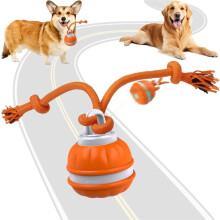 Interactive Dog Ball Toy – Motion-Activated Self-Rolling Vibrating Ball