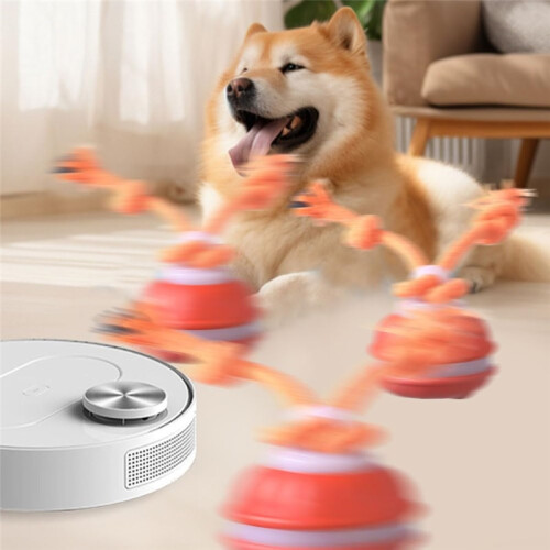 Interactive Dog Ball Toy – Motion-Activated Self-Rolling Vibrating Ball 1