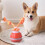 Interactive Dog Ball Toy – Motion-Activated Self-Rolling Vibrating Ball 4
