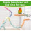 Rope Perches for Bird Cages – 2-Pack Perch for Parrots, Cockatiels & Parakeets 5