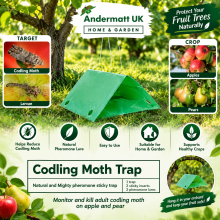 Codling Moth Trap with Refill Garden Pest Control