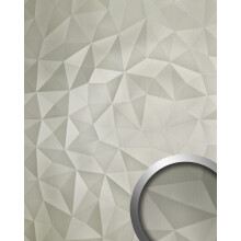WallFace 31020 DIAMOND Green Steel brushed AR Wall panel metal silver 2,6 m2