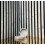 WallFace 30683 LIMESTONE Grey Design panelling slatted look matt grey 1,68 m2 2