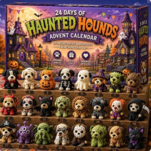 (Crochet Pet)Calendrier de l'Avent Halloween boîte décorative avec tirages de dessins animés pour décoration de vacances