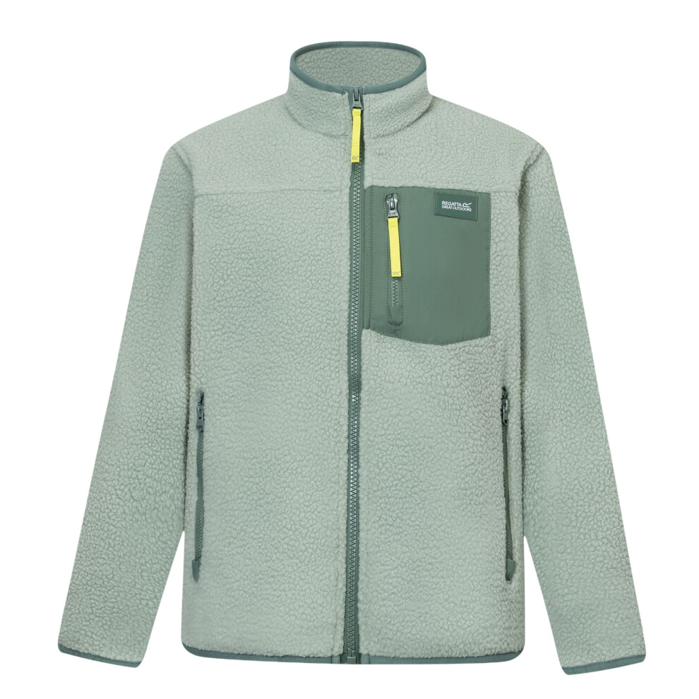 Regatta (11-12 Years, Glacier Green/Dark Forest Green) Childrens/Kids Frankie Colour Block Fleece Jacket